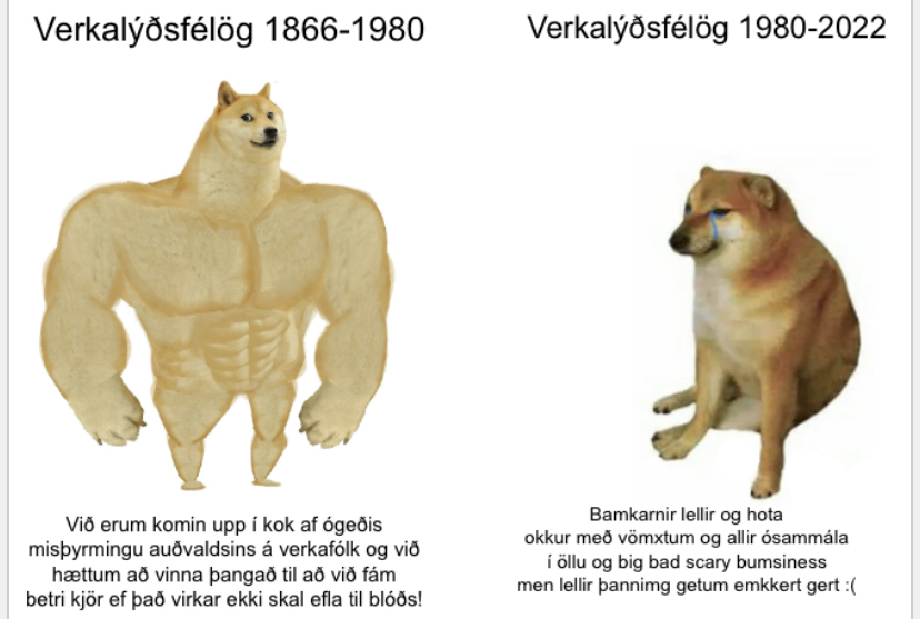 Rauða Lausnin (@raudalausnin) on Twitter photo 