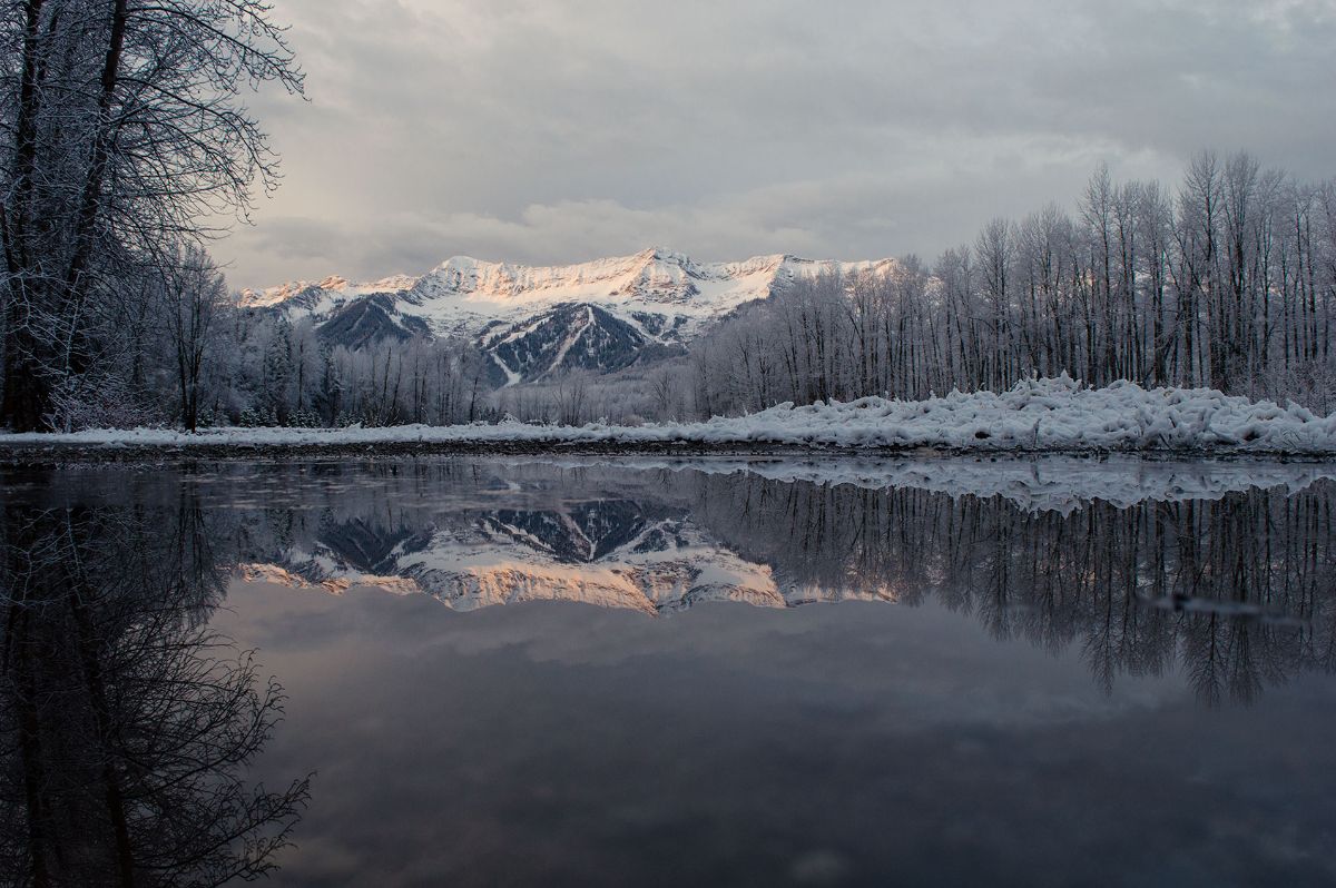 Fernie Fix Magazine tweet media