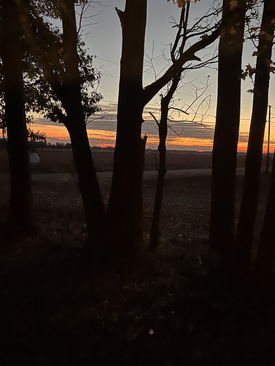 redrn98's tweet image. Beautiful view from my porch