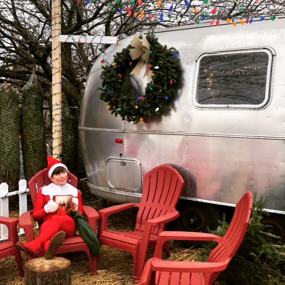 TheRealElfTommy's tweet photo. Weekend Vibes ππ» What are your weekend plans? #TheRealElf https://t.co/sAjJwbJ609