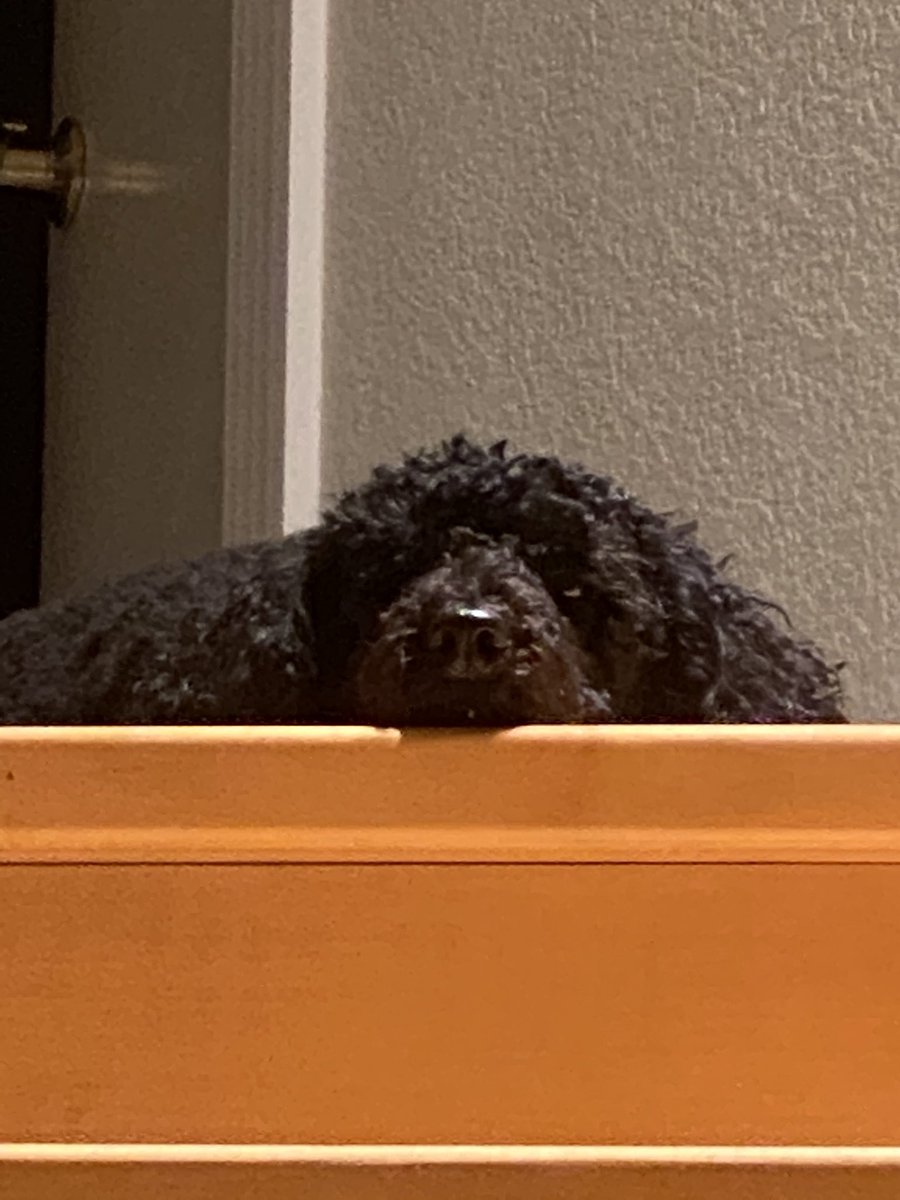 Justin Sewell tweet media