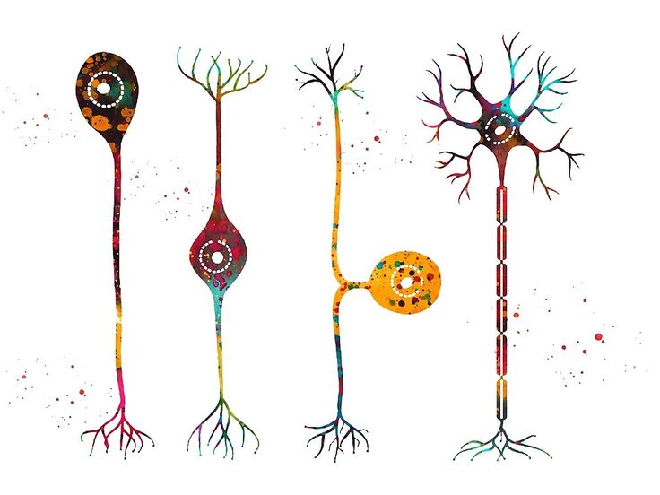 Artistic take on neurons. Source: @FineArtAmerica #neuroscience #neurotwitter