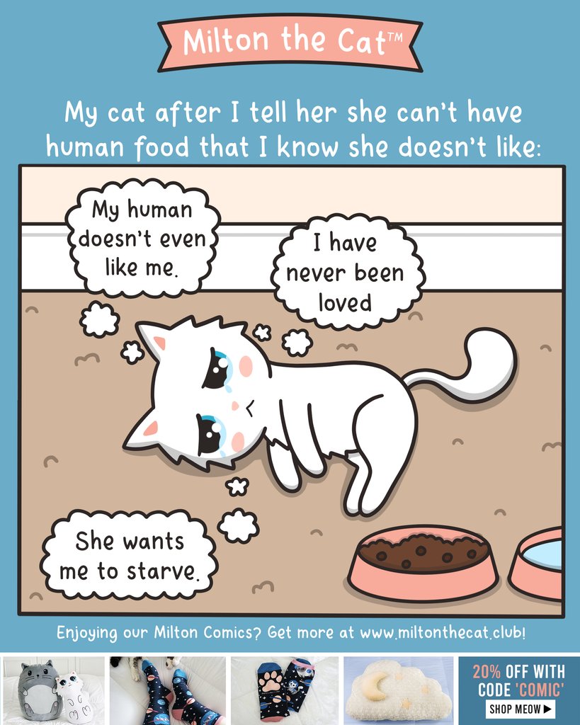 There is nothing quite so dramatic as a hungry cat.
-
Shop Milton &amp; Millie plushies, socks, cat beds, and more on Meowingtons.com! 🐈