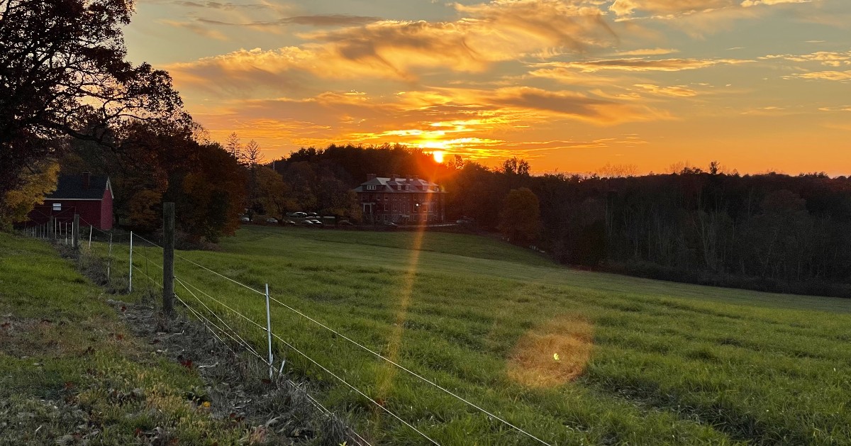 Tweet by Tufts | Cummings School of Veterinary Medicine