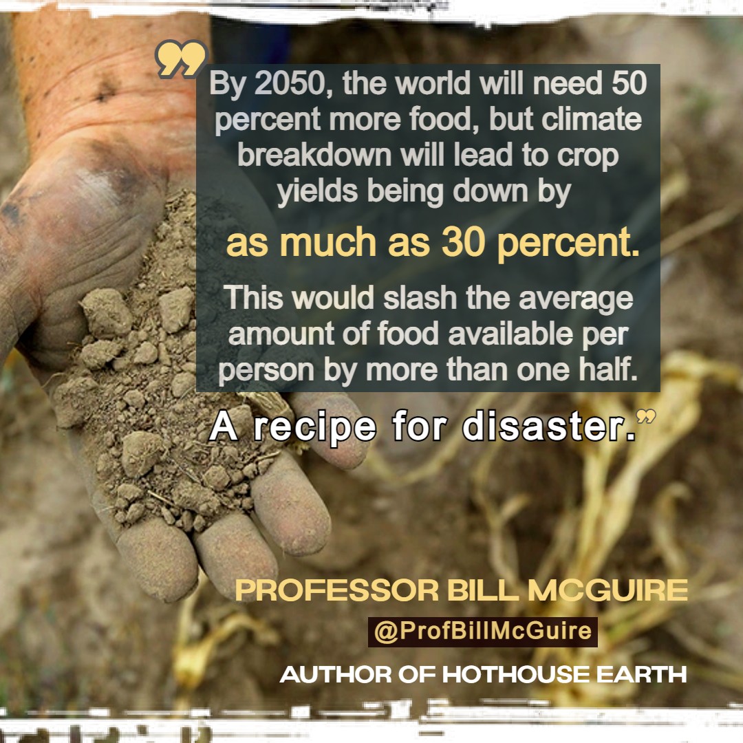 CodeRedEarth's tweet image. Certain stats /truth is worth memorizing.  Like this particular important fact.  A recipe for starvation.  Why we need system change - to change our food systems.  The politicians will never discuss this. #ClimateEmergency but they know it is coming. 
Meme @ProfBillMcGuire