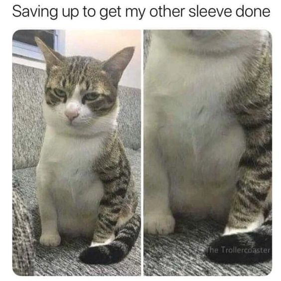 WholesomeMeme's tweet photo. https://t.co/BkPbRU7SAz