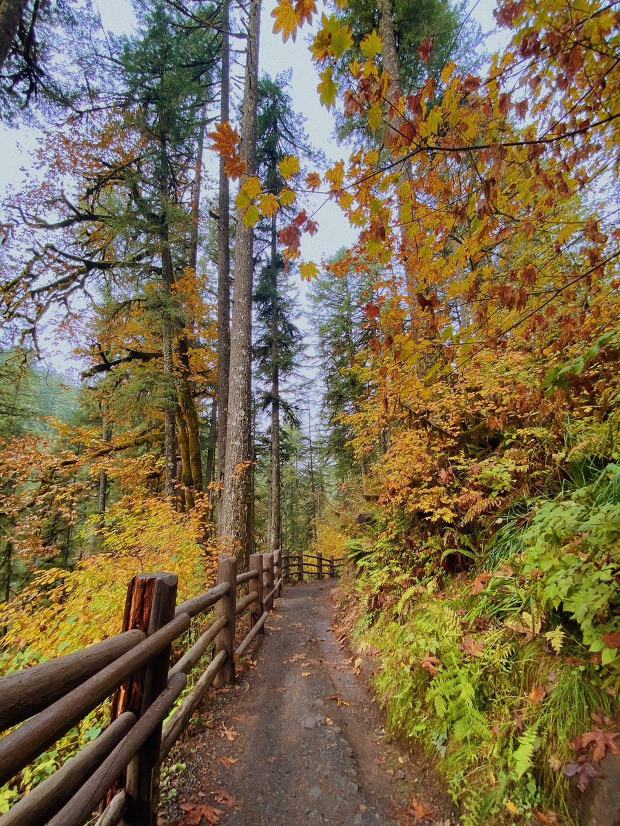 alexxhinson's tweet photo. iphone photos from yesterdays hike https://t.co/UCuzAJEkBJ