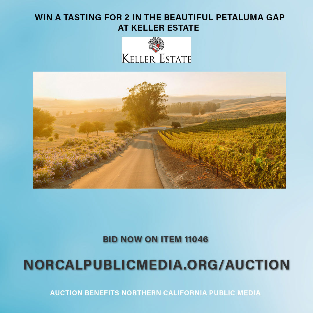 #PBS #Auction #wineauction #wine #PetalumaGap @kellerestate