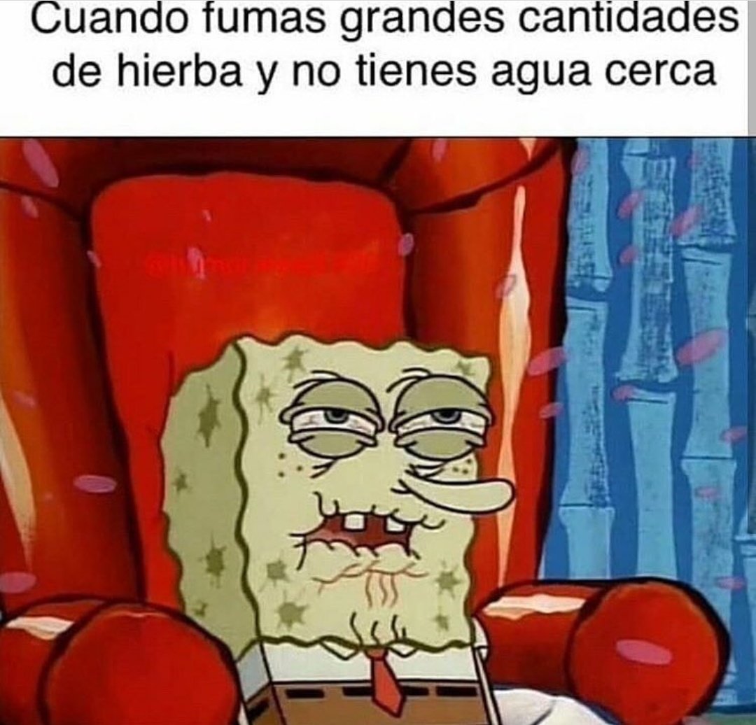 El Paragua Venenoso (@elparaguayo1231) on Twitter photo 