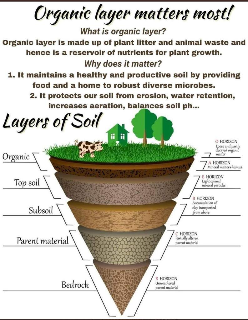 SophieCartier5's tweet photo. 🙏🏻 Mr @odessib as moderator of these lectures on 5 elements at @unige_en, the #soil top surface of #Earth features as vital part of #life 52% of the planet Soil is dying it is important to share❣️Thank you #SaveSoil https://t.co/BTtwBqi0KK
#colloquewright @FAO @colloquewright https://t.co/3cBYItUSzc