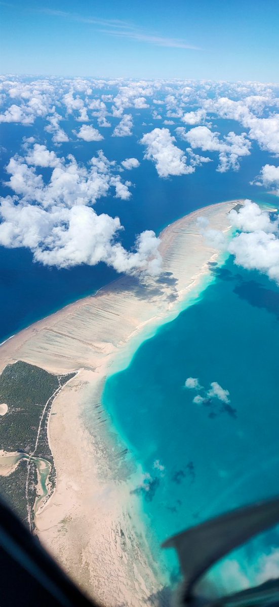 mytagimoucia's tweet photo. Low tide in #Kiribati be like 🤩 #SaturdayWorkView ✈️ 🇰🇮 https://t.co/xDywPiGCp5
