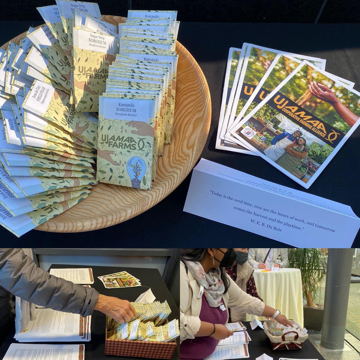 FXB Center for Health and Human Rights at Harvard (@fxbharvard) on Twitter photo The #Reparations4Health symposium allowed planting of seeds for the future, including the culturally meaningful ones by UJAMAA SEEDS, a <a href="/SteamOnward/">Steam Onward</a> project.
“When we plant trees, we plant the seeds of peace and hope. We also secure the future of our children.”
Wangari Maathai The #Reparations4Health symposium allowed planting of seeds for the future, including the culturally meaningful ones by UJAMAA SEEDS, a <a href="/SteamOnward/">Steam Onward</a> project.
“When we plant trees, we plant the seeds of peace and hope. We also secure the future of our children.”
Wangari Maathai