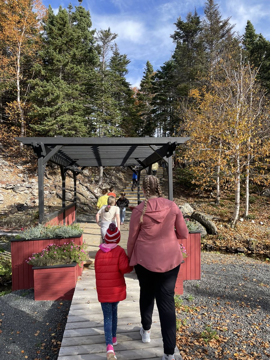 MsJDowney's tweet photo. Last week’s #TerryFoxRun! It was a beautiful day to get outdoors and raise money for cancer research. 🤍 @ms_crane @NWIAcademy @TerryFoxCanada https://t.co/OgumJjq2Na