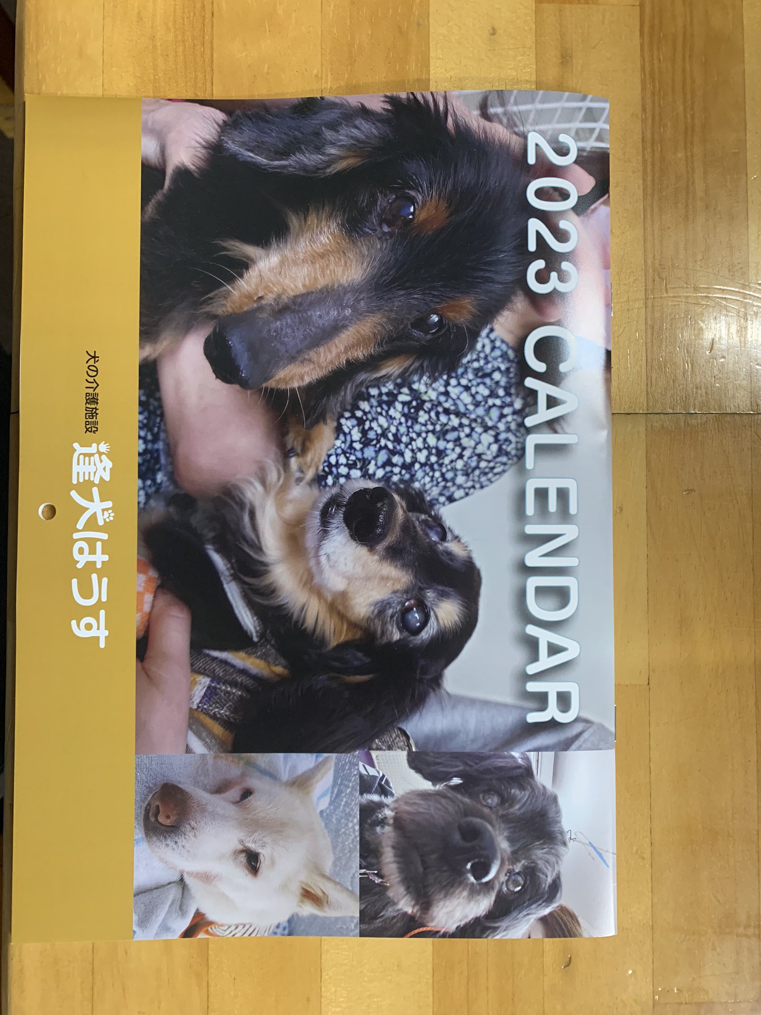 札幌老犬ホーム ペットホテル 逢犬はうす Aiken Hausu Twitter