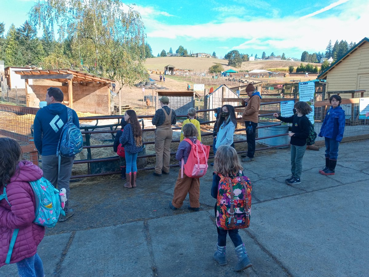 VennAcademyPDX's tweet photo. Amazing trip to Plumper Pumpkin Patch! The weather was a jewel in a sea of rainy days. It was extraordinarily beautiful. The folks at Plumper Pumpkin Patch &amp; Tree Farm were fabulous. Check them out: https://t.co/PLotC7ta9f https://t.co/SvLmkusFM3