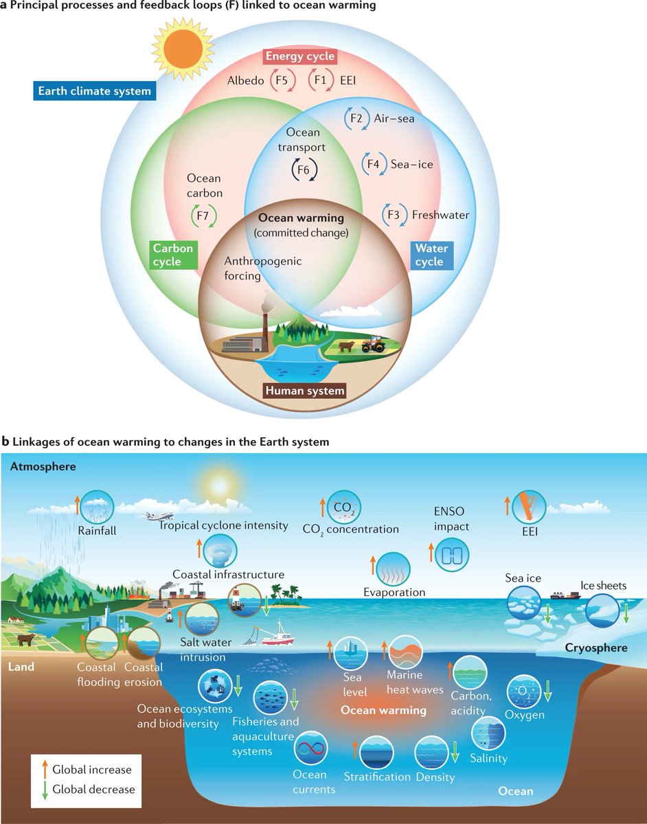dev_333's tweet image. Past and future ocean warming: rdcu.be/cYZCi 
#GISChat #EOChat #Geospatial