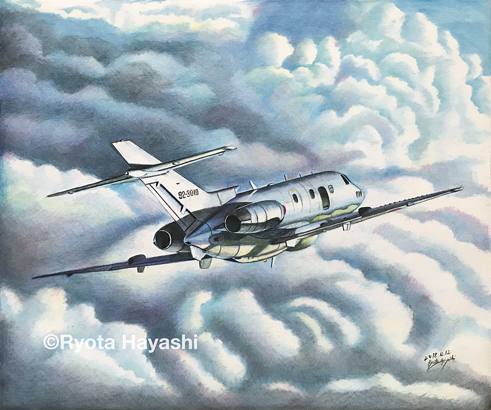 cloud aircraft airplane vehicle focus traditional media no humans signature  illustration images