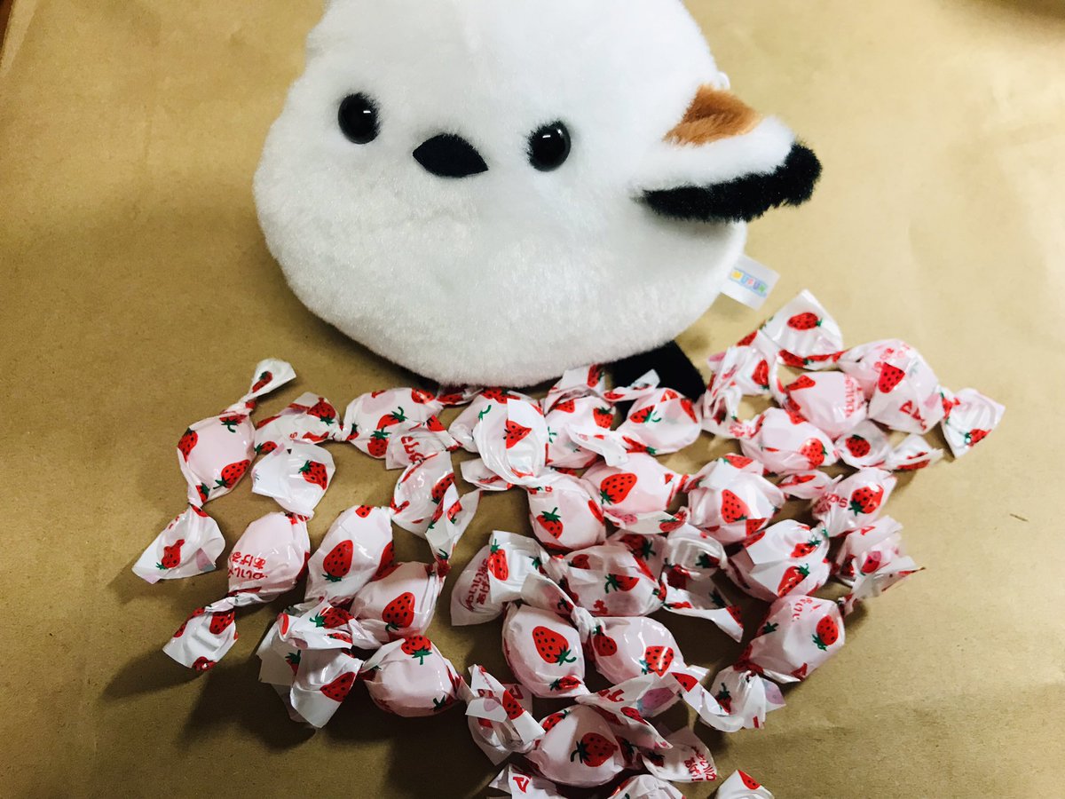 石子様 専用ページ オンラインショップ haiphongdpi.gov.vn