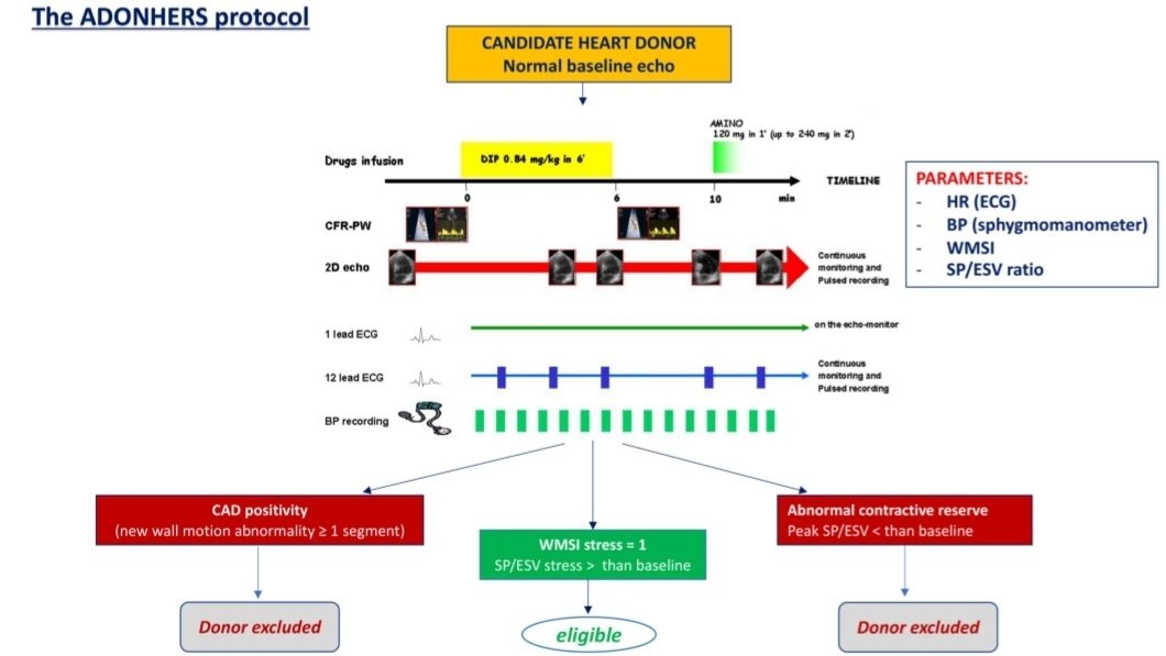 Matte_Cameli's tweet photo. 🔴Donor shortage in #hearttransplantation:
🤔How can we overcome this challenge?
🟢 Let's see novel strategic options!

https://t.co/7eyicJ6DzM 

@CardiouniSiena @DrGEMandoli @MC_Pastore @unisiena @AouSenese @FrontCVMedicine @FrontiersIn https://t.co/VLpKyxh3HQ