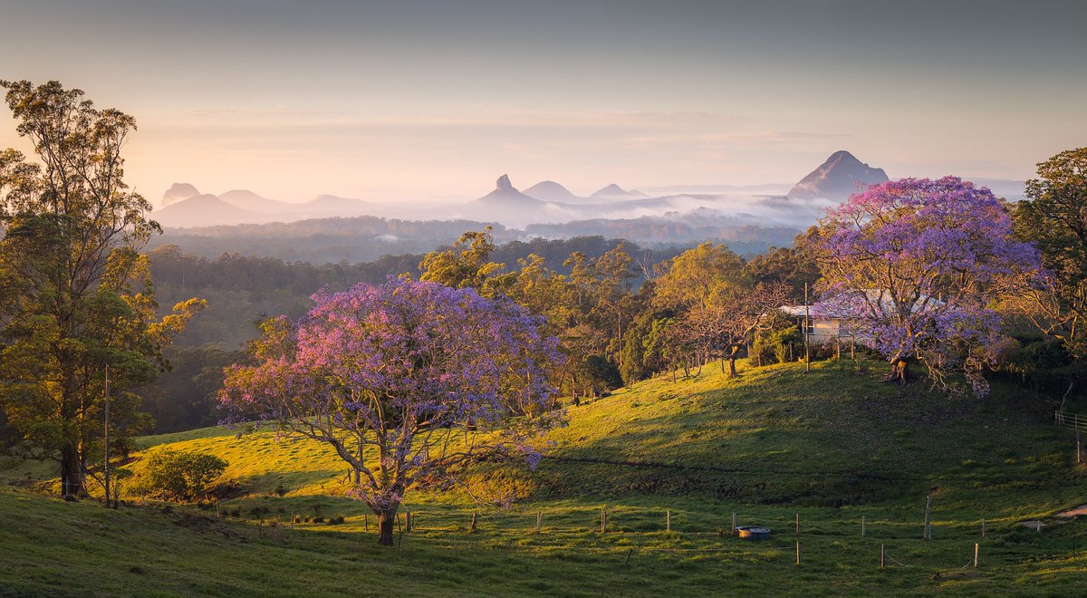 Gm!  Jacaranda season is closing in.  Wrapped with these conditions for my first time shooting at this spot.  Have a great weekend G&amp;Gs.