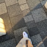 ツイートに含まれる画像