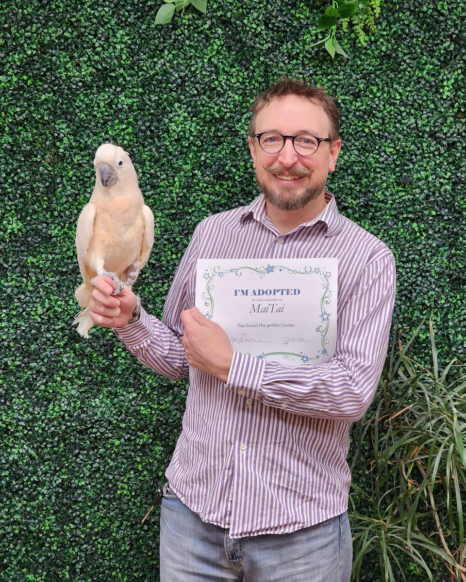 Ronies for The Love Of Birds tweet media