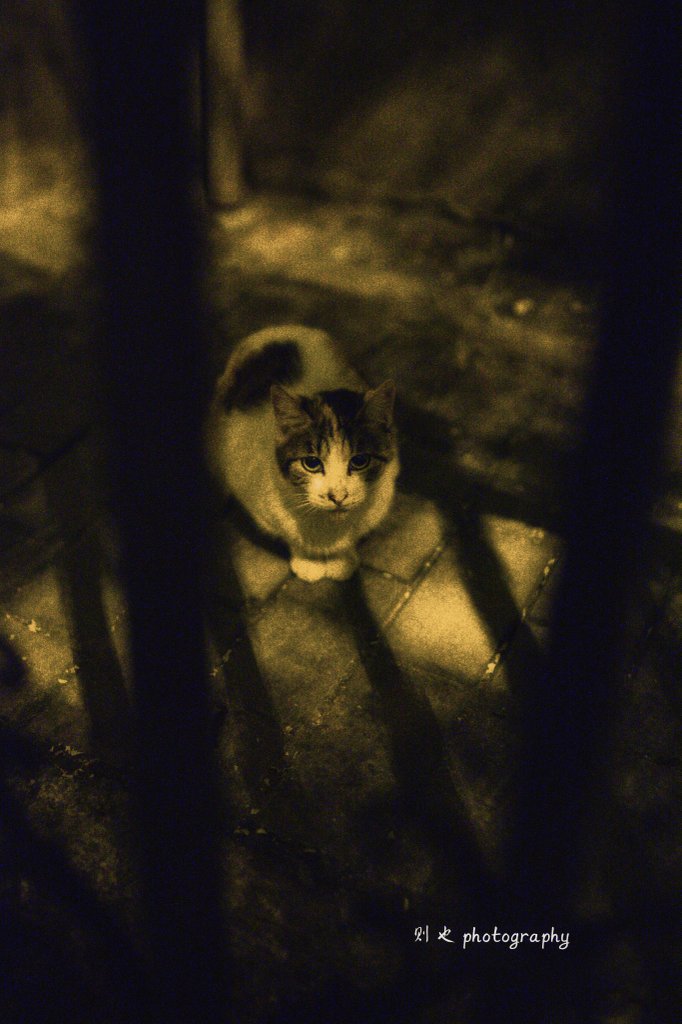 众生骚动，无处归依。