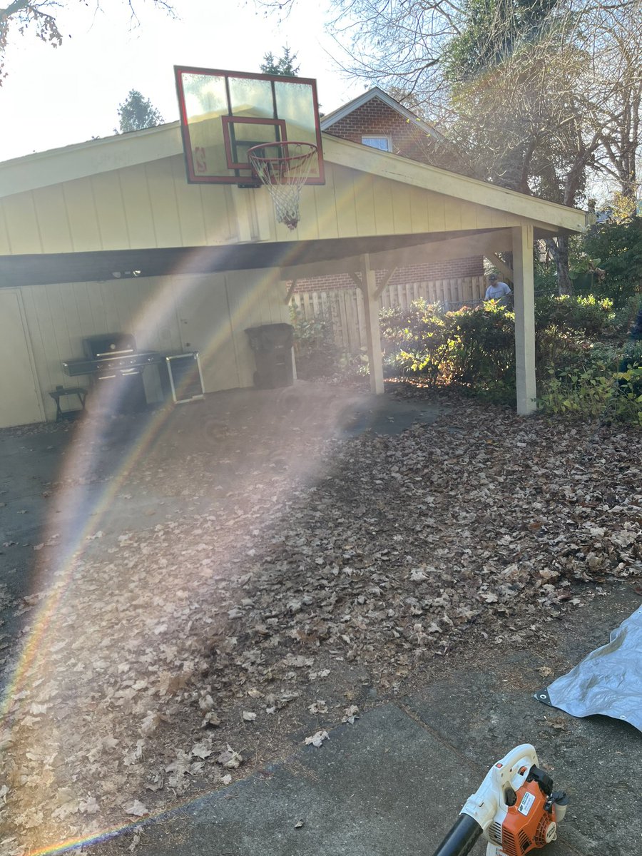 Spencer Free tweet media