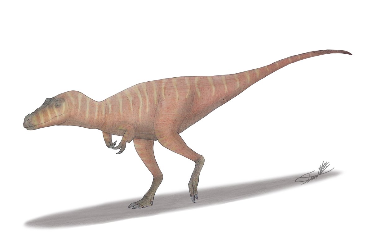Fan-art de Qianzhousaurus . sinensis  #Qianzhousaurus #Tyrannosauridae  #paleoarte #paleoartista #paleoart #prehistoricplanet #dinosaur