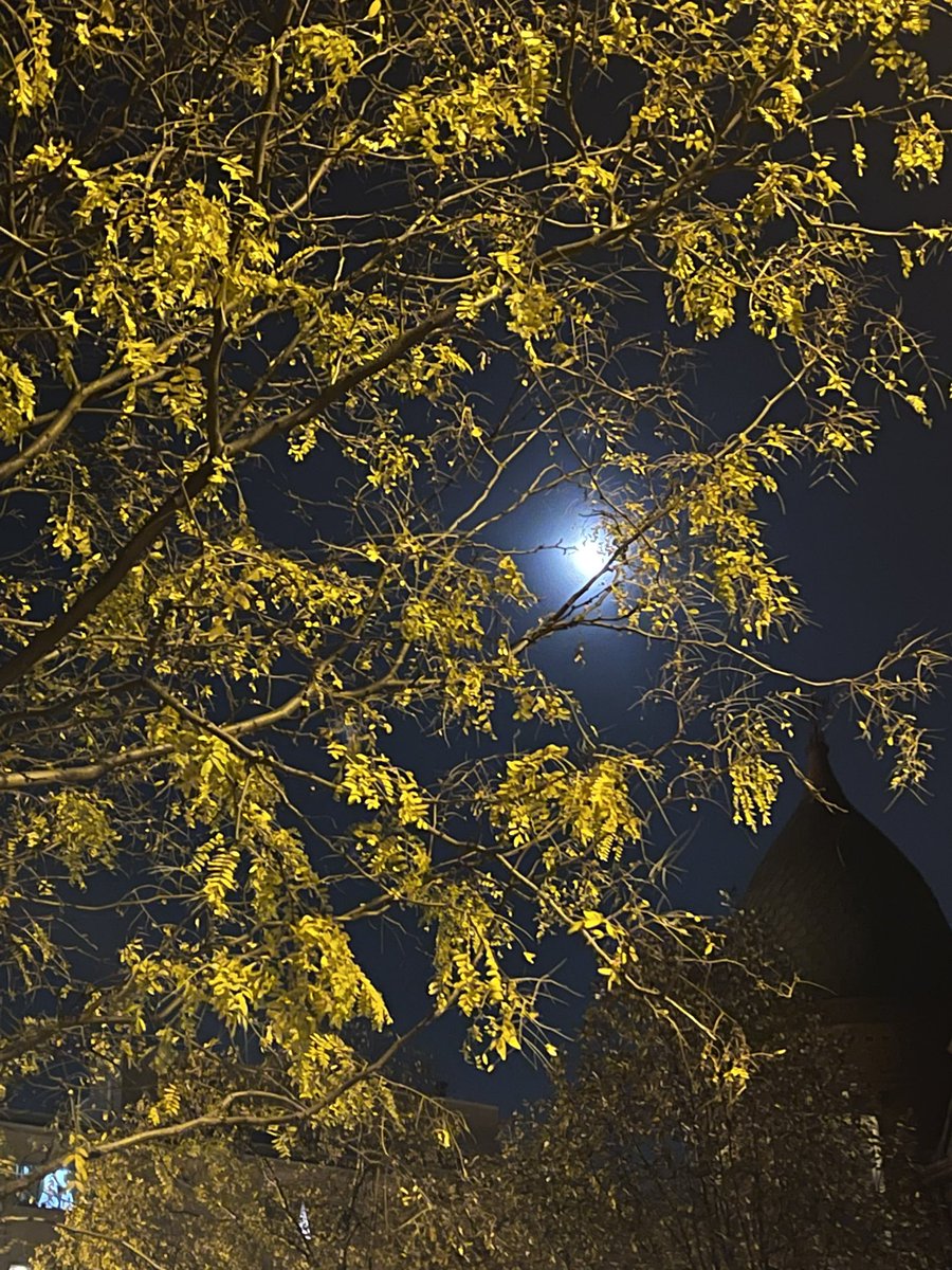 koriedrose's tweet image. What an amazing evening just to walk around… however… let’s not forget today is November 4th!!! After a great week… I’m ready for a great weekend! #FallinDC #IndianSummer #WhatMonthIsThis #Dupont #DC