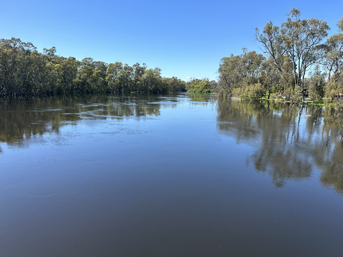 Dale Pearce tweet media