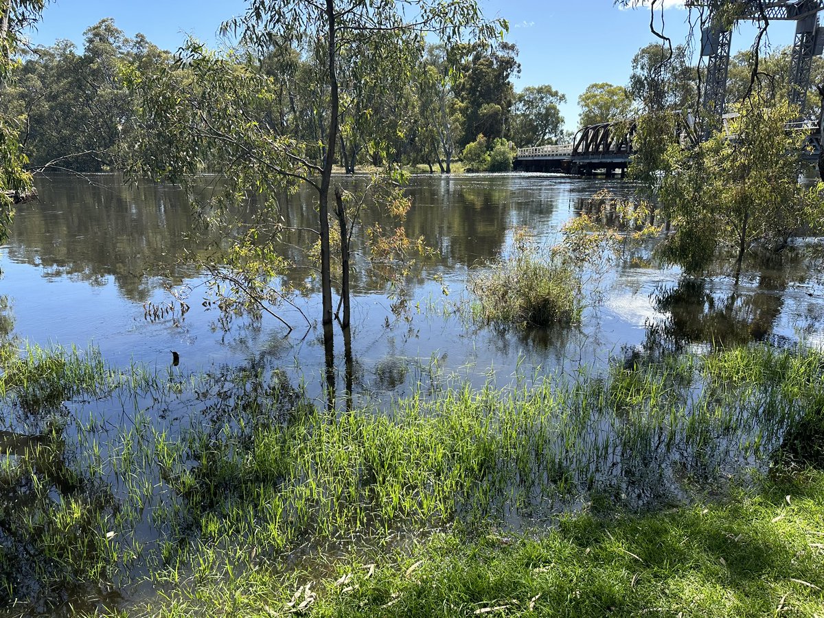 Dale Pearce tweet media