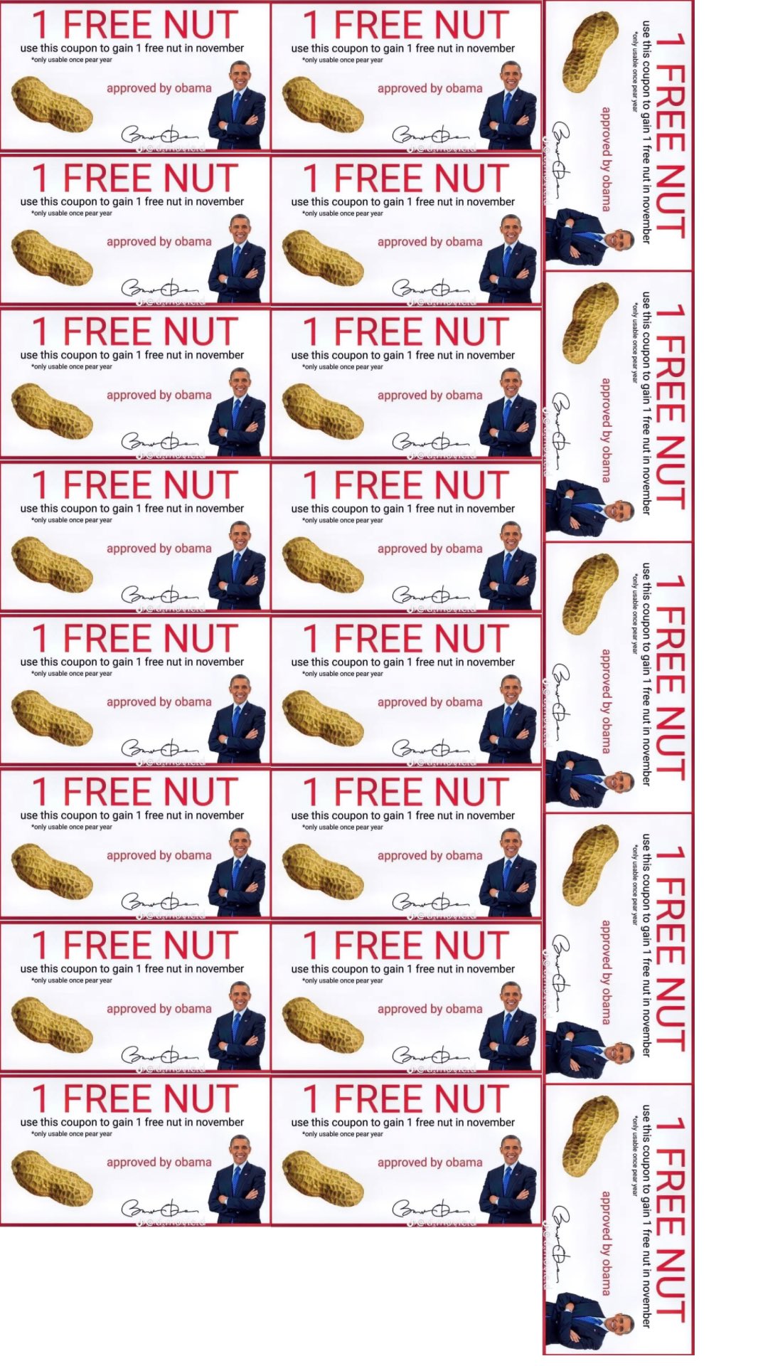 michael jordan and george koehler