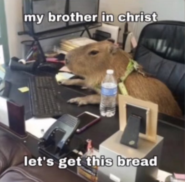 Jayden Chao tweet media