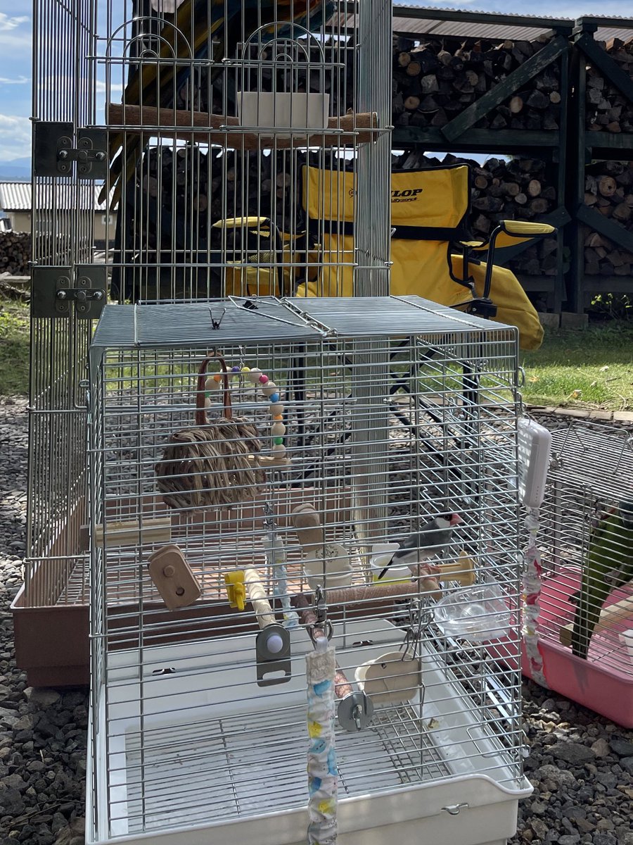 wkbbird's tweet photo. 組み立てが簡単なケージは分解も簡単って事を認識する！分解されるのを防ぐ為、ワイヤー同士をタイラップで止める。下トレイが外れない様に「守り紐」も使ってる。#毎月5日は鳥迷子ゼロの日 #鳥さん迷子対策をツイートをしよう https://t.co/pEdl73FcPz