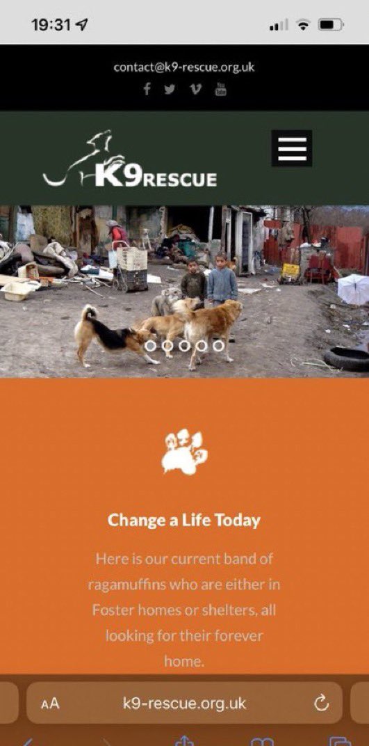 AGAIN!!

ANOTHER donation made to <a href="/k9_rescue/">K9 Rescue International 🇺🇦🇲🇰🇬🇧🇺🇸</a> dog shelter from $STAFFY

We stand true to our motto which clearly states:

Every dog deserves a second chance.

We are a #memecoin with a ❤️ of gold.

See what we are about here ⤵️

linktr.ee/staffyinu

#100x #100xgem #shibainu