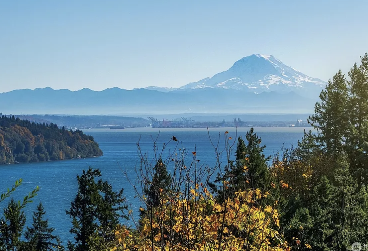 We bought a house in Gig Harbor, WA — great to be back in the PNW! I'm eager to book some local school visits + conferences. Will still be traveling to CT, NY, NJ, PA (+ all over) to speak, but would love to do events close to our new home!! DM me for details, OK? #authorvisits