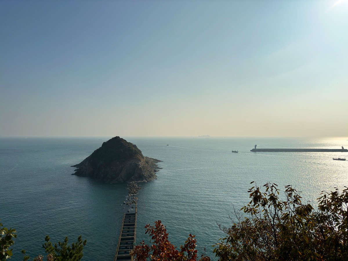 _sueeeeeeeee's tweet photo. Busan is so pretty ✨ you’ve got the city, the mountains and the beaches. https://t.co/UrLJTMHKzC