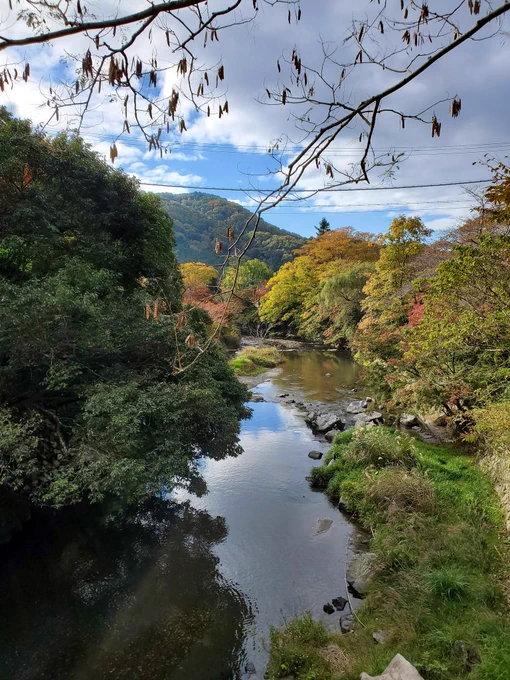 ところどころ赤くなっていて、きれいです 