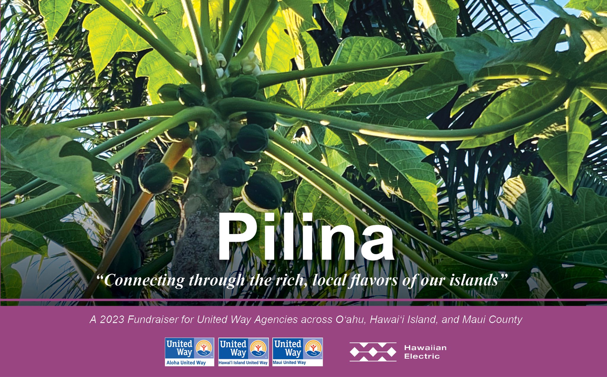 hawaiian-electric-on-twitter-pre-orders-launch-today-for-pilina