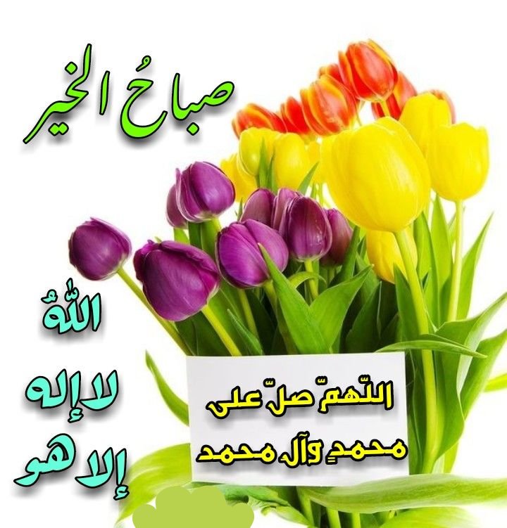 اللهم صل على محمد وآل محمد 
اللهم يامن هو في جلاله عظيم وبعباده رحيم وبمن عصاه حليم ولمن رجاه كريم 🥀 صباح الخير والسعادة 🥀💖🥀