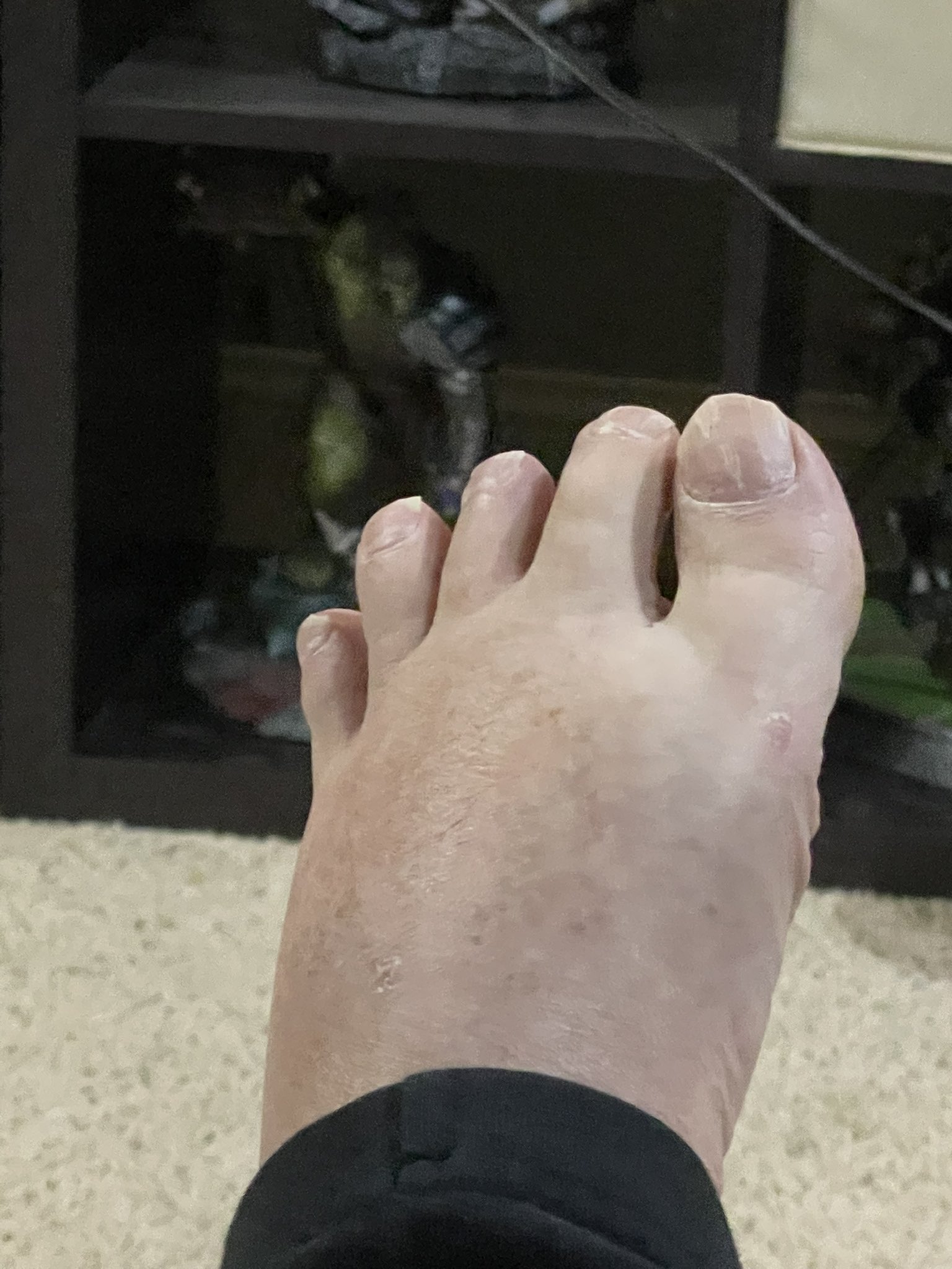 Boogie2988 Gf 42 - 476d5uf