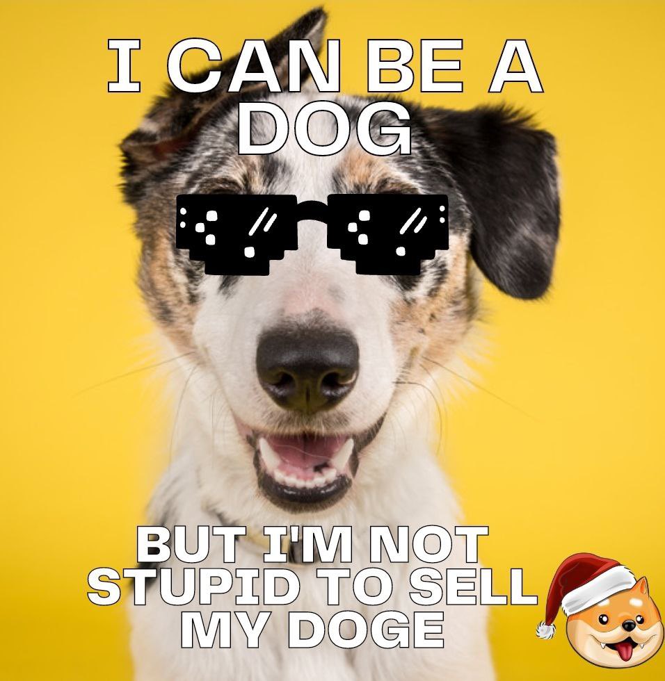 DogeSanta tweet media