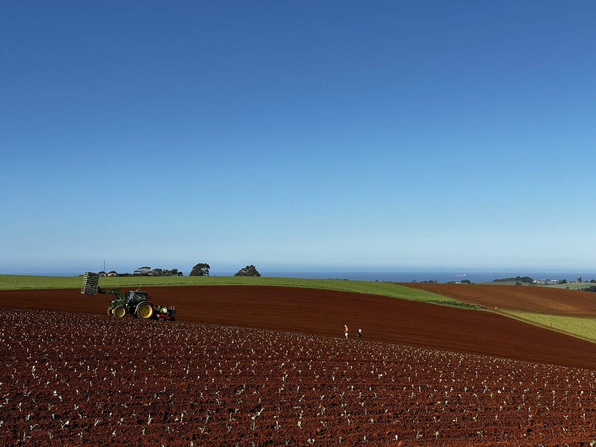 Dylan Bellchambers tweet media