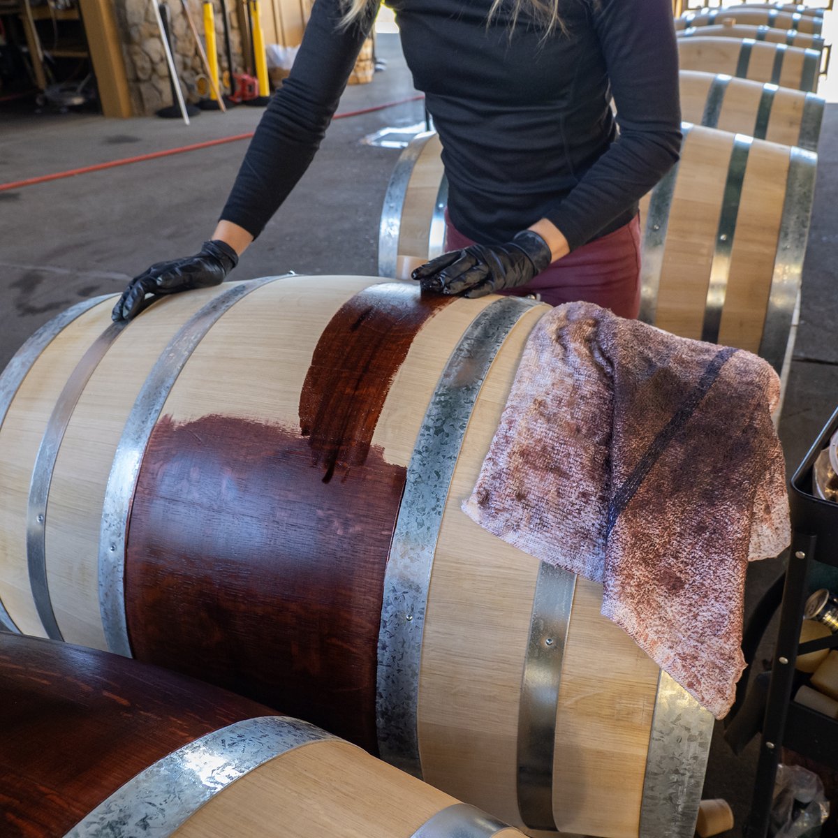pridewines's tweet photo. From fermentation to barrel, the winemaking process includes prepping barrels, lots of cleaning, and getting our wines settled in their new French oak barrel homes for the next two years.
#winemakingprocess #pridewines #handsonwinemaking https://t.co/dcW7MgwPvZ