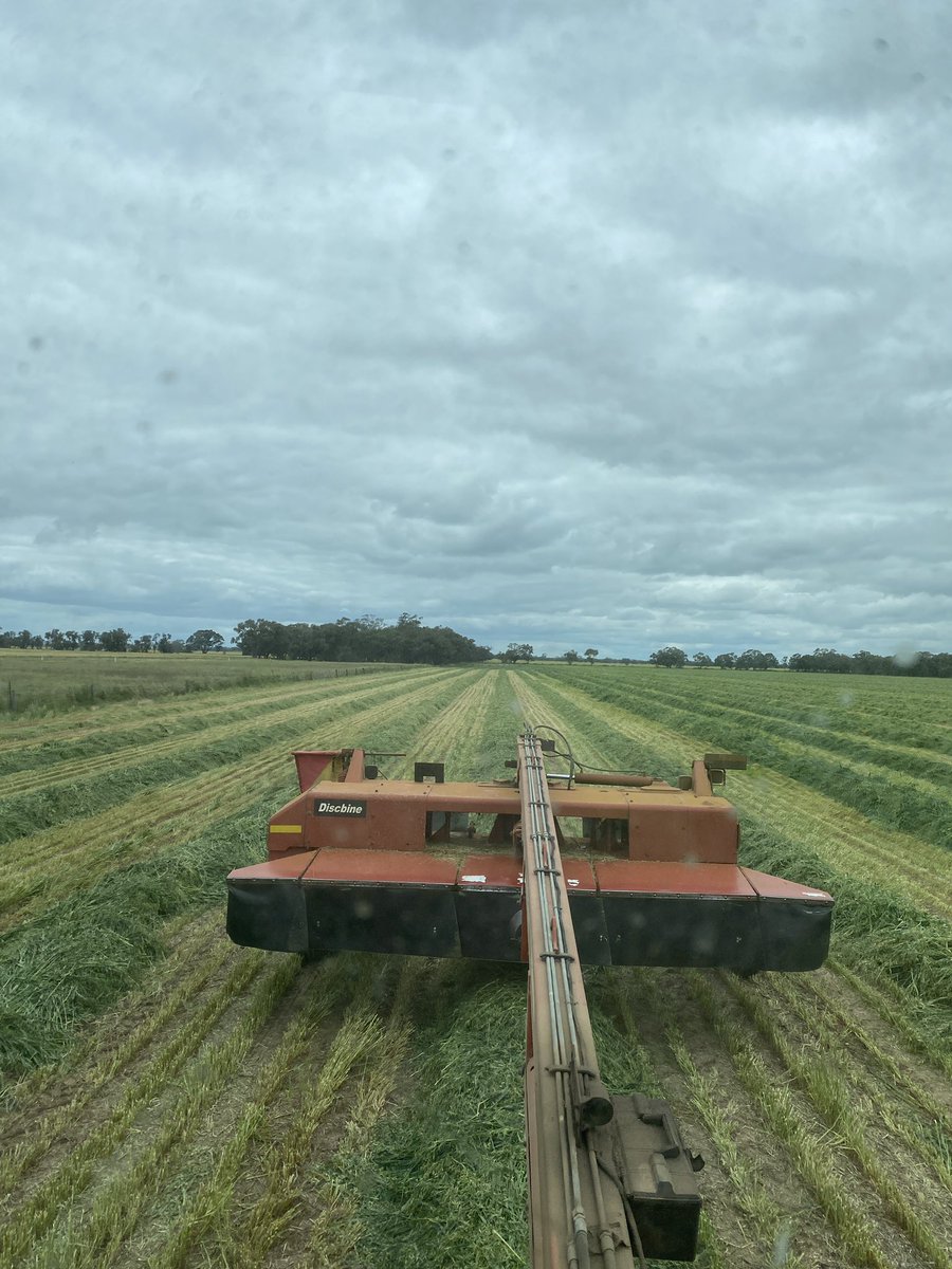 Stew hamilton tweet media