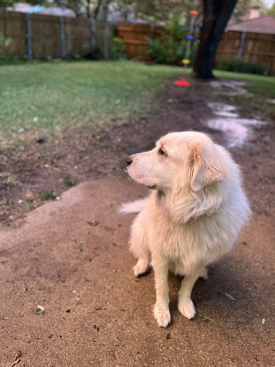 ✨abbs- enjoyer of things✨ tweet media