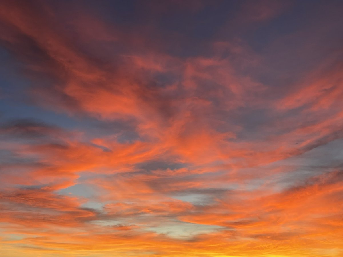 terranaomi tweet media