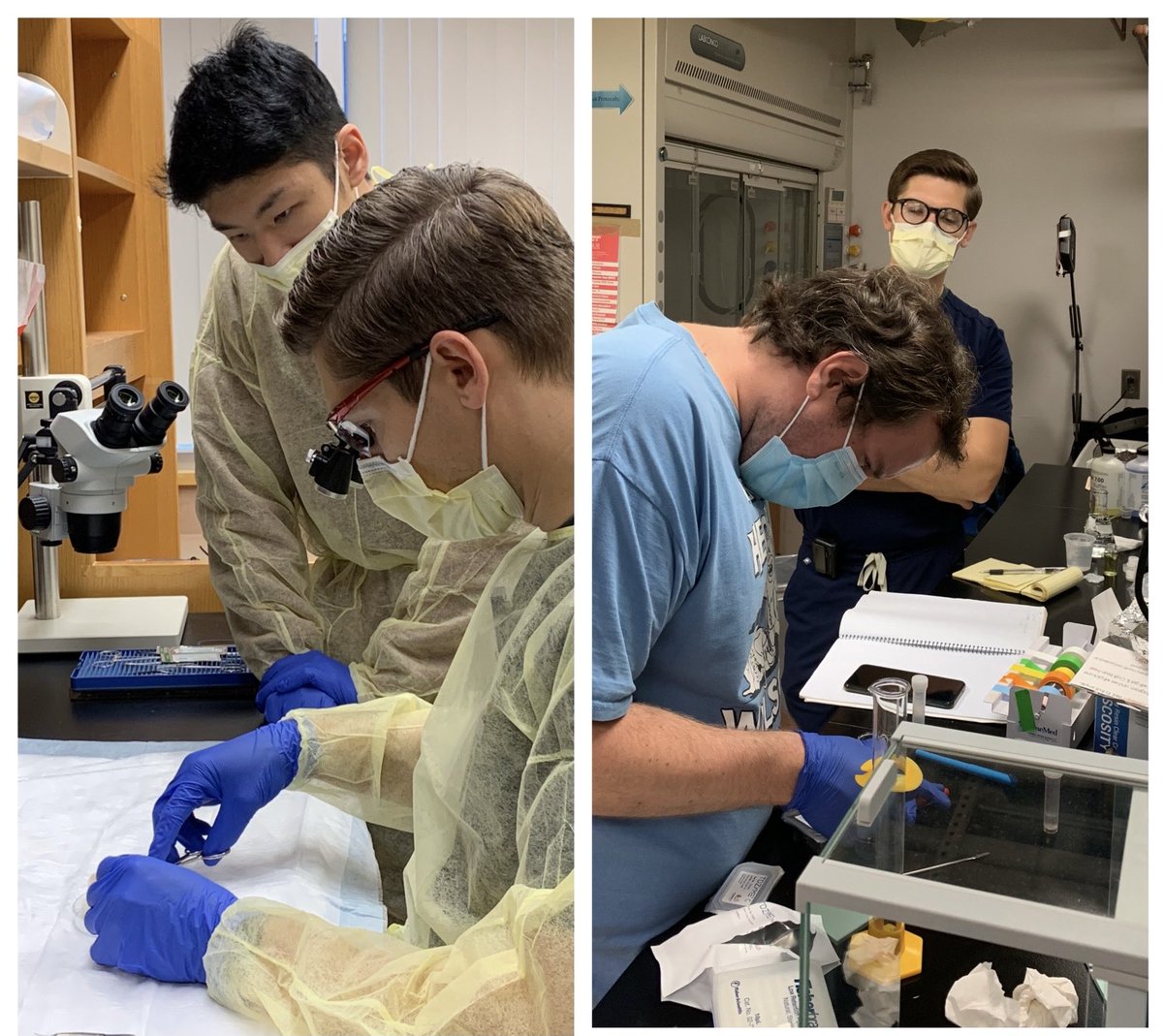 MarcoslabUr's tweet image. ⁦@MarcoslabUr⁩ today: ⁦@RochesterOptics⁩ undergrad Jiaxi Zhou learns surgical skills from #ophthalmogy resident &amp;amp; #opticalengineer Dr Dan Savage; postdoc Dr James Germann prepares samples for #SHG imaging #URochesterResearch possible ⁦@CvsUor⁩ ⁦@FlaumEye⁩