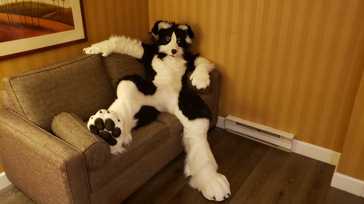 SkuruWolf's tweet photo. Am dog https://t.co/nXdYmEIM8P
